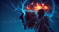 The 10 Essentials for Brain health (Recommended by HARVARD HEALTH)